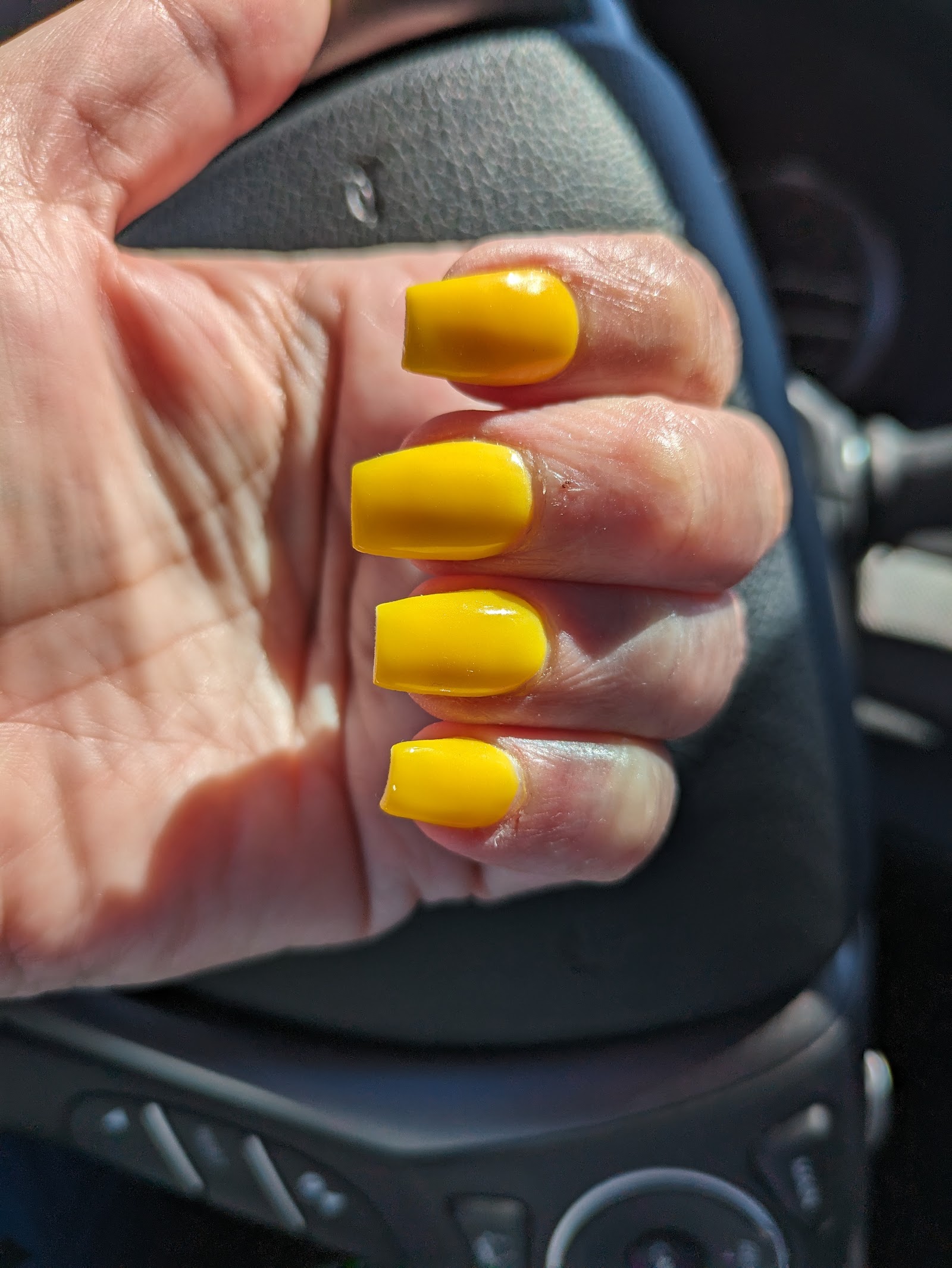 Posh Nail Spa II nail photo 3