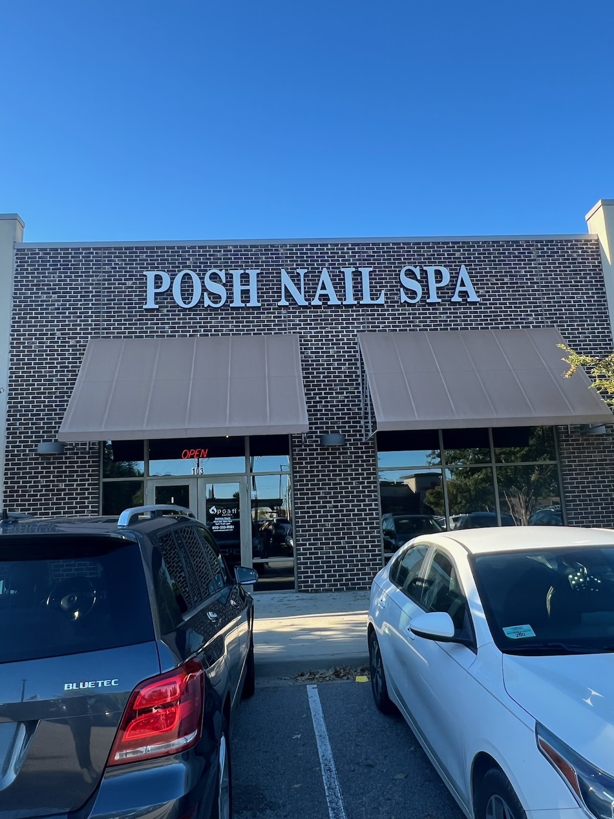 Posh Nail Spa II nail photo 4
